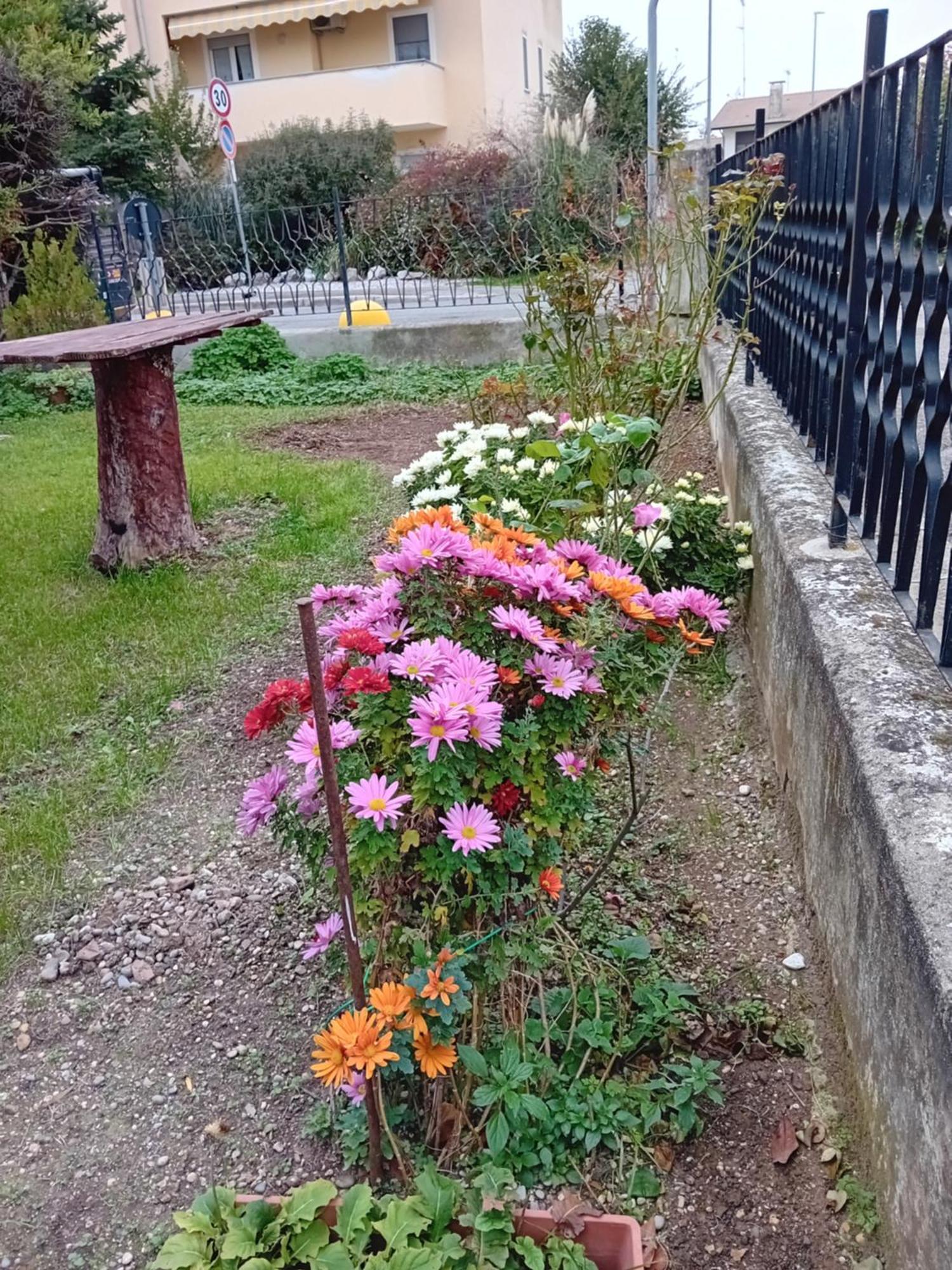 Villa Azzurra Monfalcone Buitenkant foto