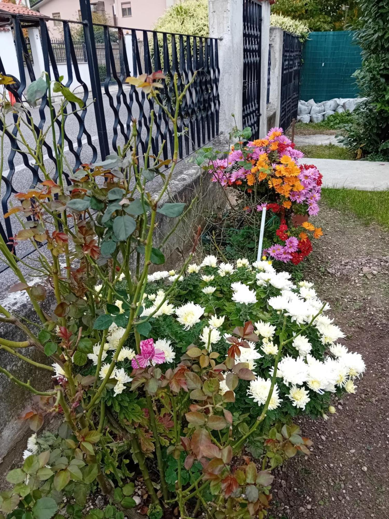 Villa Azzurra Monfalcone Buitenkant foto